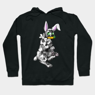 Bobtail BunnyCat: Salt & Pepper (White) Hoodie